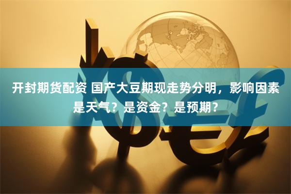 开封期货配资 国产大豆期现走势分明，影响因素是天气？是资金？是预期？