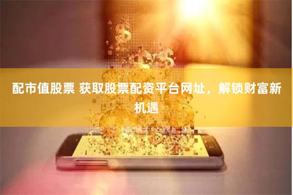 配市值股票 获取股票配资平台网址，解锁财富新机遇