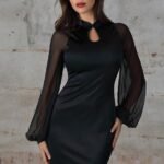 Long Sleeve Lace Vintage Bodycon Dress